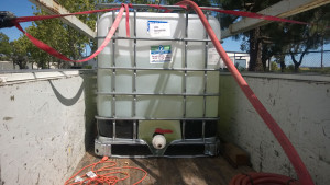 300 gallon IBC tote filling in the back of a work truck.