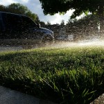 This lawn has been watered only with Recycled Water since Jan 1, 2015.