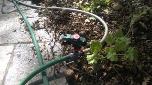 Impact sprinkler head with a hose running through it.