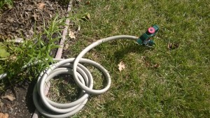Impact sprinkler with an end cap and waters the lawn.