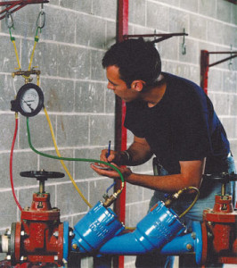 Being above ground, they have a tendency to freeze in our climate in the winter and they would have to be replaced. Also, being a mechanical device, they would need to be tested annually to make sure it works.