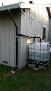 Gutter to 275 gallon IBC tote.