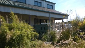 Rainwater catchment tank.