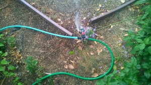 Ace Hardware impulse lawn sprinkler. 