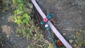 Drip irrigation hose in place of a garden hose.