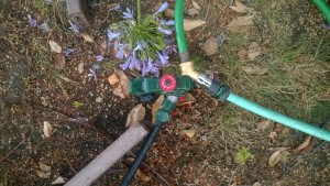 Impulse sprinkler with Y-fitting and shutoff valve.