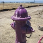 Recycled water hydrant.