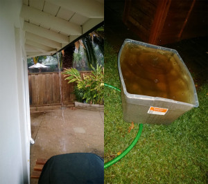 Rain gutter backed up with water, 5 gallon storage tote holding free water.