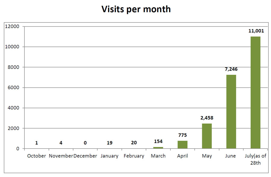 Visits per month