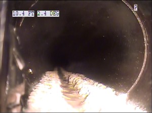 FOG in lateral to sewer main.