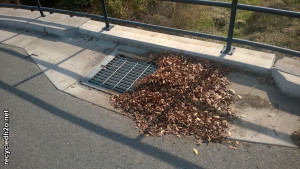 Leaves should be removed from around storm drains.