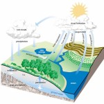 Hydrologic Cycle (image: Beaver River Watershed)