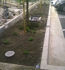 Notches cut in curbs direct run-off from parking lots to swales.