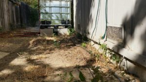 Garden hose running down side of house.