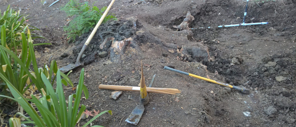 Digging out an old tree stump, sitting in the place of my new infiltration trench.