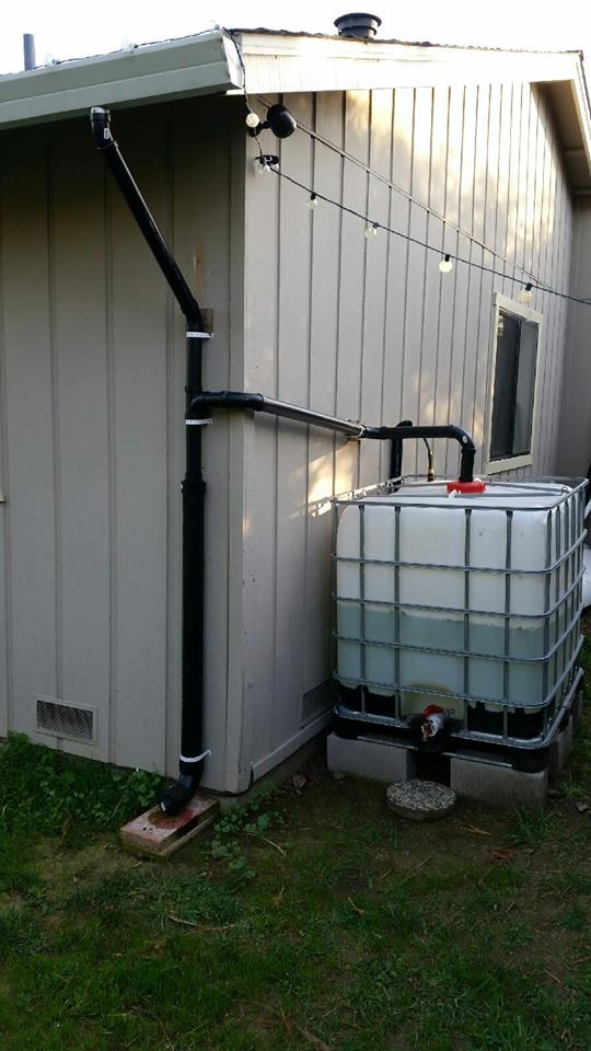 IBC Tote hooked up to downspout.