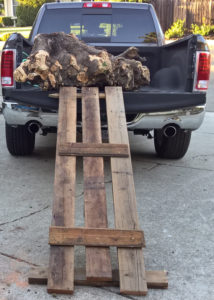 Rolled stump into truck.